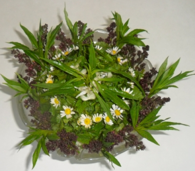 Grøn salat pyntet med blomster af syren, bellis og døvnælde