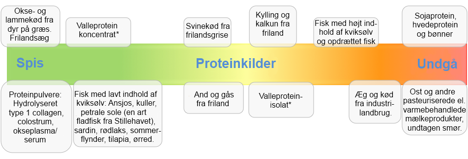 proteiner-1